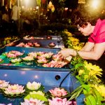 (Lotus Wishing Pond)_MG_4280