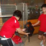 PCare_StudentsDropGoodieBag_DSC_1080