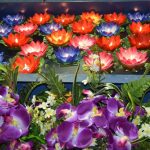 Web-Pic-6